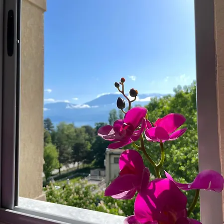 View ポグラデツ