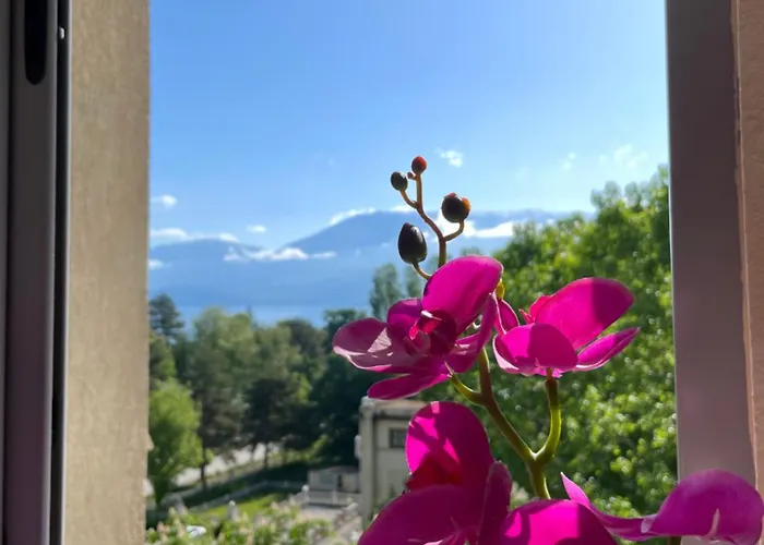 View ポグラデツ